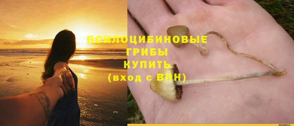 шишки Баксан